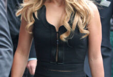 Hayden Panettiere, Heroes and Nashville actress