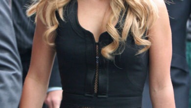 Hayden Panettiere, Heroes and Nashville actress